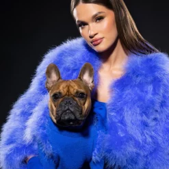 SWEET TALK OSTRICH FEATHER JACKET IN PURPLE 22 SWEET TALK OSTRICH FEATHER JACKET IN PURPLE -AZALEA WANG Shop sweet talk ostrich feather jacket in purple purple 1 1 c1