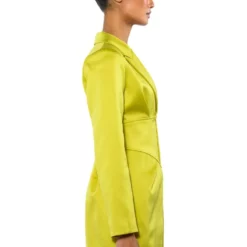 TEA TIME CORSET MINI DRESS -AZALEA WANG Shop tea time corset mini dress light green 6 6